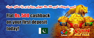 وی آئی پی ریوارڈز promotion banner